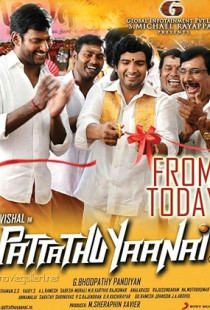 Pattathu Yaanai (2013)